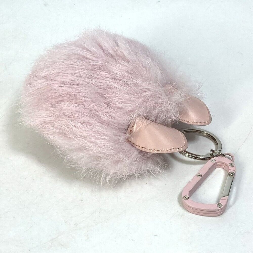 Dior COOKIE cookie dog dog animal Bag Charm carabiner Key Holder Leather pink - Picture 5 of 8